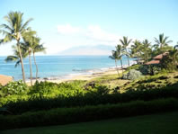 makena-landing-maui-island-influence-color-pallete